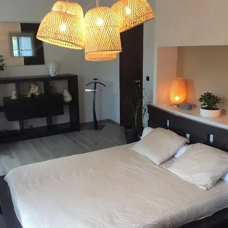 Air Conditionned 290 M2 , 12 Minutes From Toulouse *
